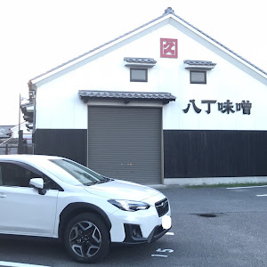 XV GT7