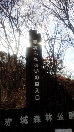 赤城森林公園　赤城ふれあいの森