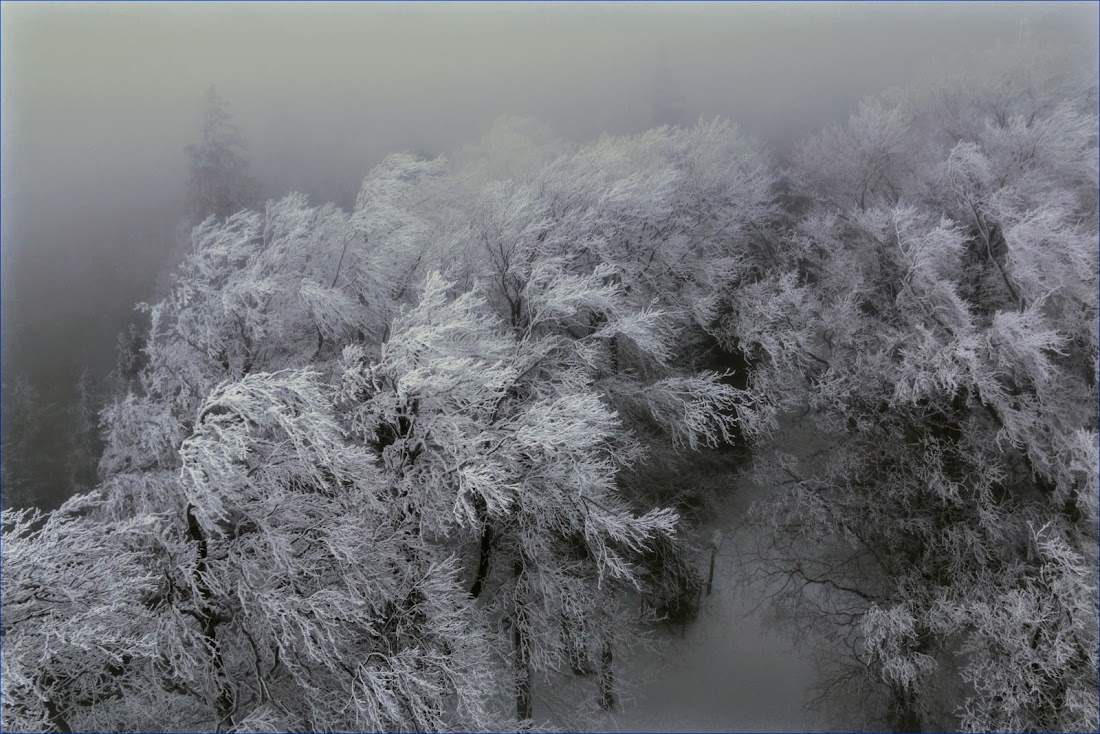 Тюрингенский лес (Thüringer Wald) и Айзенах в январе 2022.