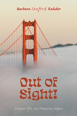 Out of Sight! cover