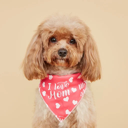 Soft Dog Bandana with Heart Pattern, Triangle Scarf for Puppy Small Dog, Pet Kerchief for Small Medium Dogs Mothers' Da