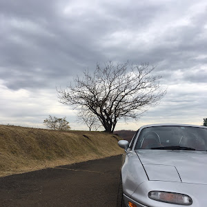 ロードスター NA6CE