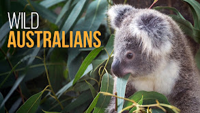 Wild Australians thumbnail