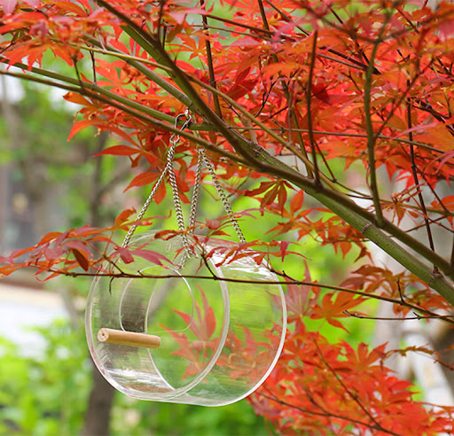 Title 1, Clear Acrylic Bird Food Box. Weatherproof, easy...