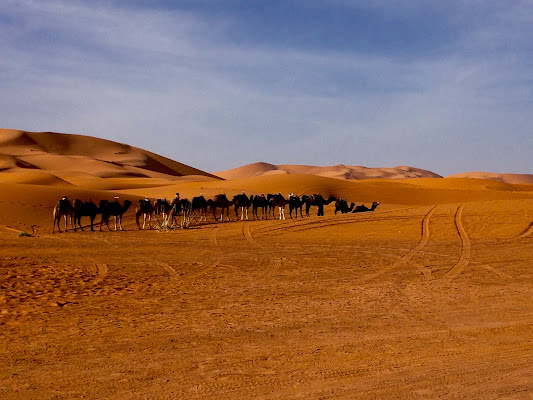 Le dune di Alicante