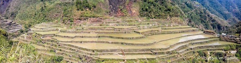 Trek, Rizières, village