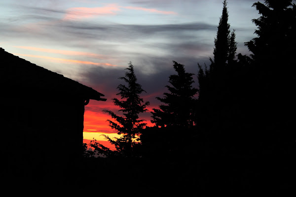 L'ombra della natura di Gine