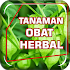 Info Tanaman Herbal Lengkap1.0