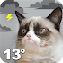 Grumpy Cat Weather2.5