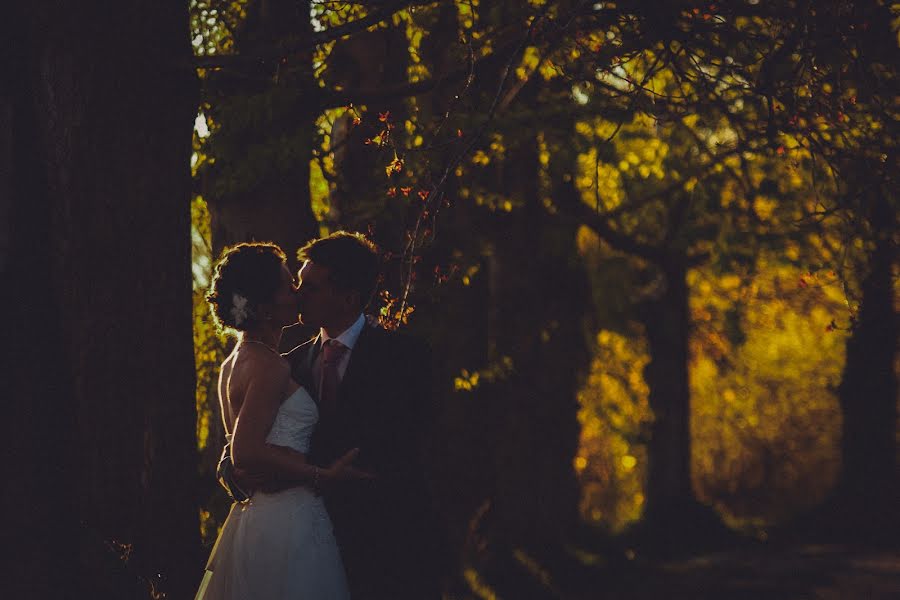 Wedding photographer Łukasz Pietrzak (lukaszpietrzak). Photo of 14 June 2017