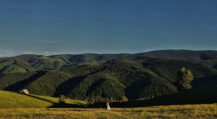 Photographer sa kasal Alex Vîlceanu (alexandruvilcea). Larawan ni 26 Hunyo 2017