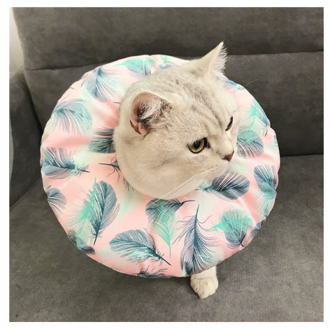 Title 13, Waterproof Pet Headgear for Post-Surgery, Steri...