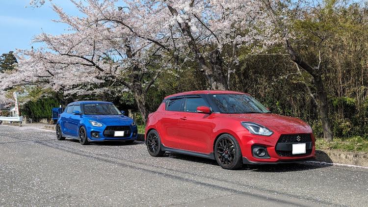 スイフトスポーツのzc33s・スイスポ・サクラと愛車・桜とコラボ・桜コラボに関するカスタム事例の投稿画像1枚目
