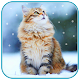 Download Snow Cats live wallpaper For PC Windows and Mac 2.6