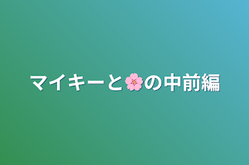 マイキーと🌸の中前編