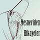 Download Mesneviden Hikayeler For PC Windows and Mac 1.0