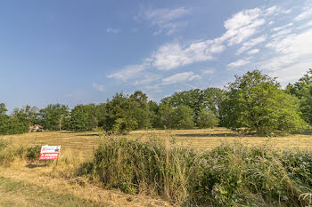 terrain à La Ferté-Imbault (41)