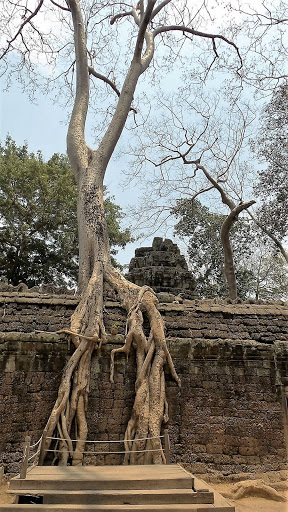 Tomb Raider Movie Temple (Ta Prohm) Cambodia 2016