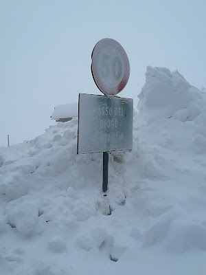 Sommersi dalla neve di Saverionepi