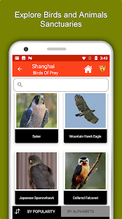 Shanghai- Travel & Explore(圖5)-速報App