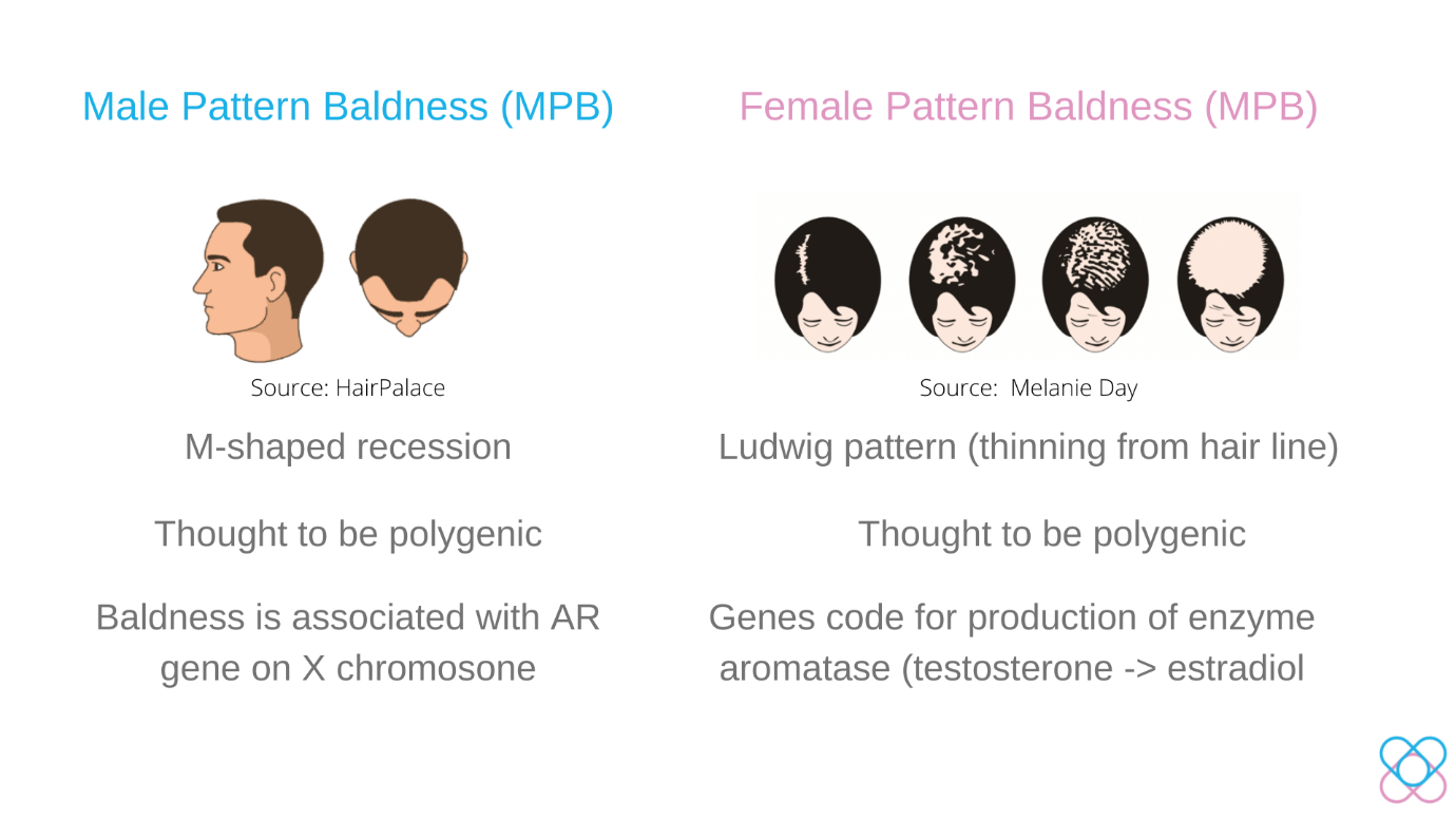 Difference between male and female pattern baldness, M shaped recession for males, Ludwig pattern for females