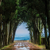 ...alla fine del viale di 