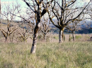 terrain à Bilhac (19)