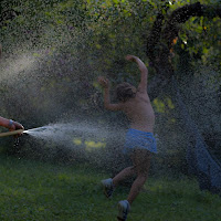 Giochi in famiglia  di 