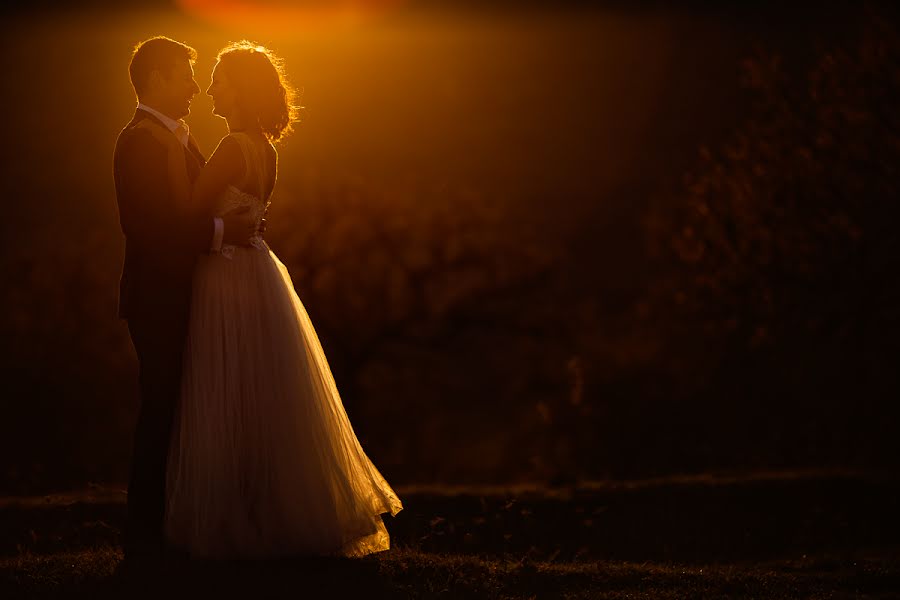 Photographe de mariage Vali Matei (matei). Photo du 9 février 2016