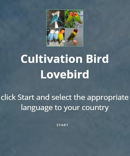 Screenshot cultivating lovebird