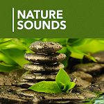 Cover Image of ดาวน์โหลด 1000 Nature Sleep Relax Sounds 1.4.6 APK