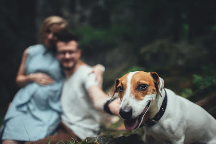 Wedding photographer Oleksandr Ladanivskiy (ladanivskyy). Photo of 19 July 2016