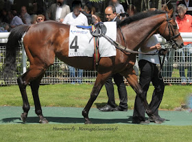 Grande Course de haies d'Auteuil 2015 (H., Gr.I, Auteuil) 7-06 : Un temps pour tout U69vZrQ1NmDF8-2h6Ec9cXnbH0_lDpIbyJ31w7v23RPg=w280-h207-p-no