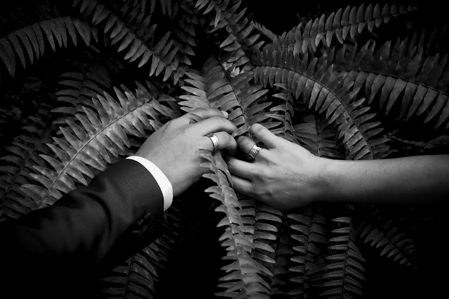 Fotografo di matrimoni Jairo Duque (jairoduque). Foto del 21 febbraio 2018