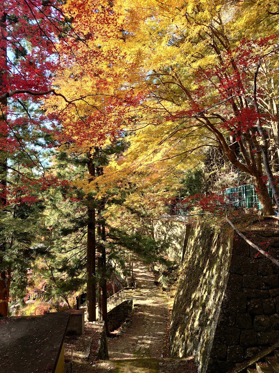 エブリイバンの紅葉2025・ドライブ・鳳来山・愛知県・奥三河に関するカスタム事例の投稿画像5枚目