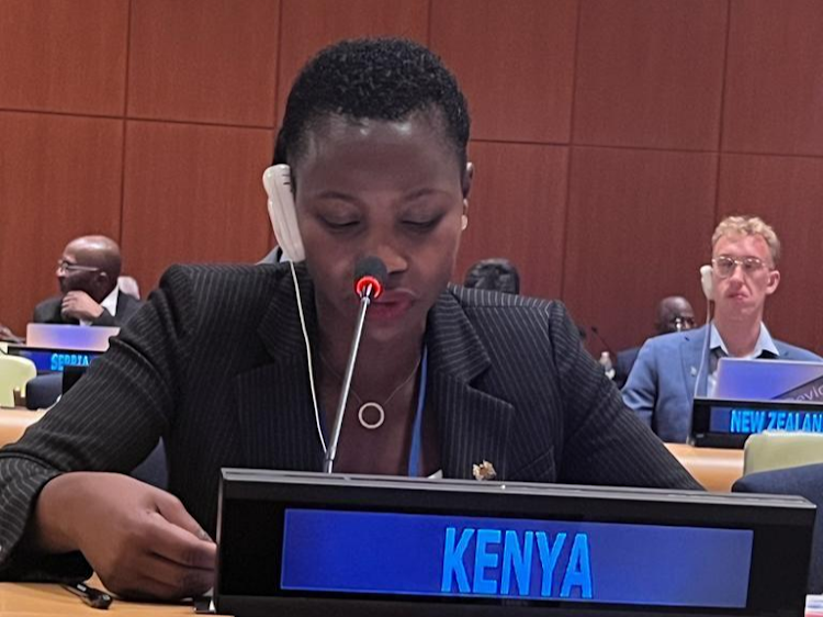 Susan Mang’eni, Principal Secretary, State Department for Micro, Small and Medium Enterprises (MSME) Development delivered Kenya’s National Statement during the 2023 ECOSOC Financing for Development Forum General Debate at the United Nations headquarters in New York.