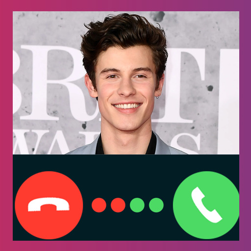 Shawn Mendes Video Call Fake Prank