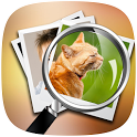 Search By Image icon