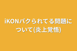 iKONパクられてる問題について(炎上覚悟)