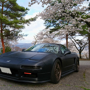 NSX NA1