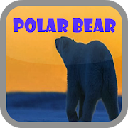 Polar Bear wallpaper  Icon