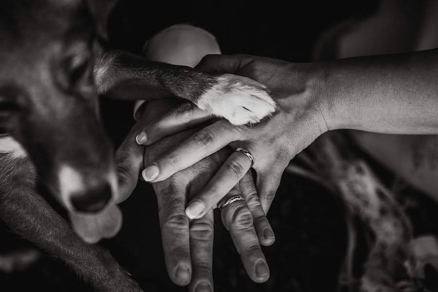 Wedding photographer Eleonora Rinaldi (eleonorarinald). Photo of 22 July 2017