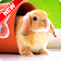 Cute Animal Wallpapers icon