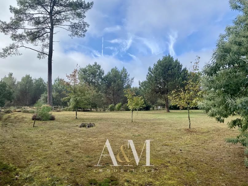 Vente terrain  2729 m² à Lesperon (40260), 159 000 €