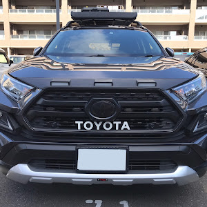 RAV4 MXAA54