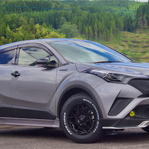 C-HR ZYX10