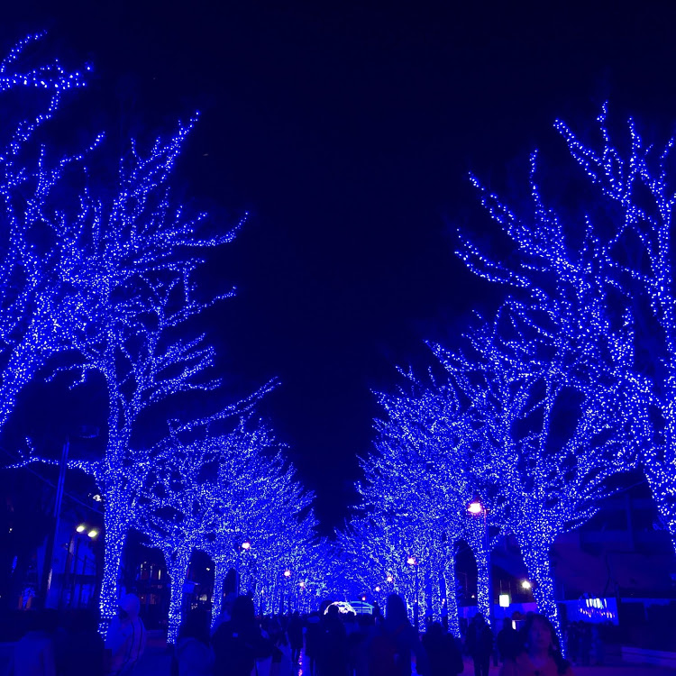 マサキさんが投稿した東京、渋谷、イルミネーション、夜道・2019に関するカスタム事例の投稿画像4枚目