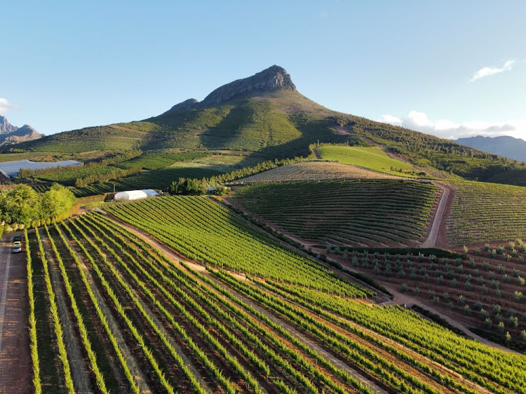 Stellenbosch, South Africa.