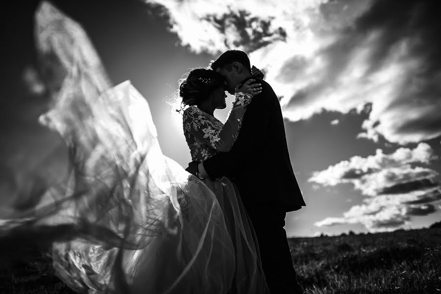 Photographe de mariage Anastasiya Lesnova (lesnovaphoto). Photo du 29 octobre 2016