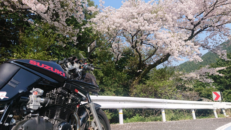その他の桜と愛車・桜に関するカスタム事例の投稿画像2枚目